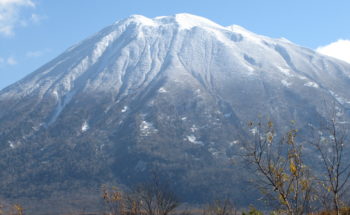 Img 0501