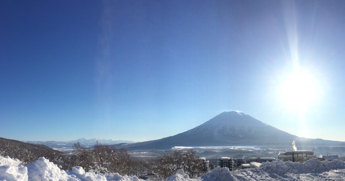 ニセコイファン 7184sKo3bfL._UF350,350_QL50_.jpg